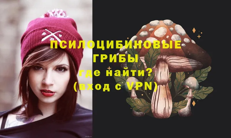 купить закладку  Бологое  Псилоцибиновые грибы Psilocybe 